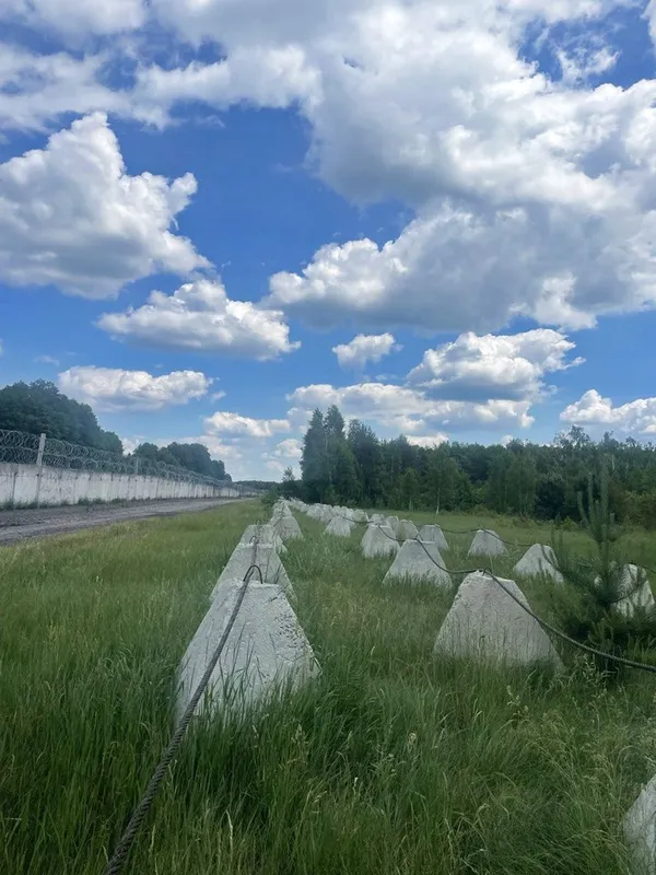 «Зуби дракона»