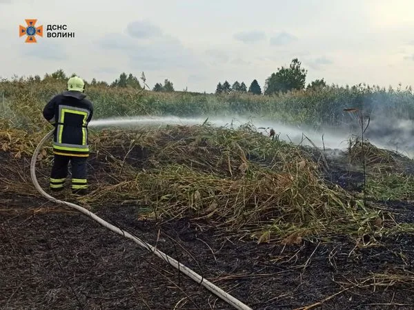 Гасили дві години: на Ківерцівщині через необережність людей загорілася суха трава (фото)