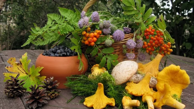 На Волині ретельно перевірятимуть лісову продукцію