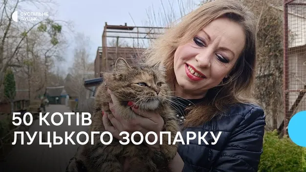 Дружать з дикобразами і граються з мавпами: як у Луцькому зоопарку живуть пів сотні котів (фото, відео)