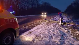 У Луцькому районі буревій повалив дерево на дорогу (фото)