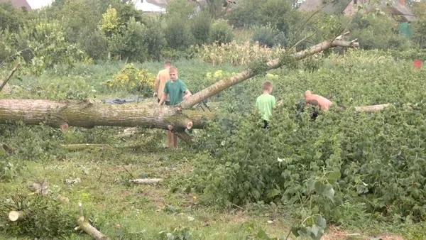 «У подвір'ї літало все»: на Волині у селищі буревій пошкодив понад 20 будівель (фото, відео)