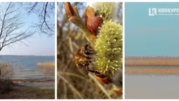 🌱Весняне пробудження: як Шацькі озера прокидаються від зимової сплячки (фото)