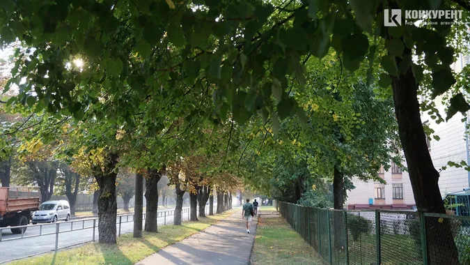 Квіти, песики, каштани: Дубнівська у Луцьку восени (фото)