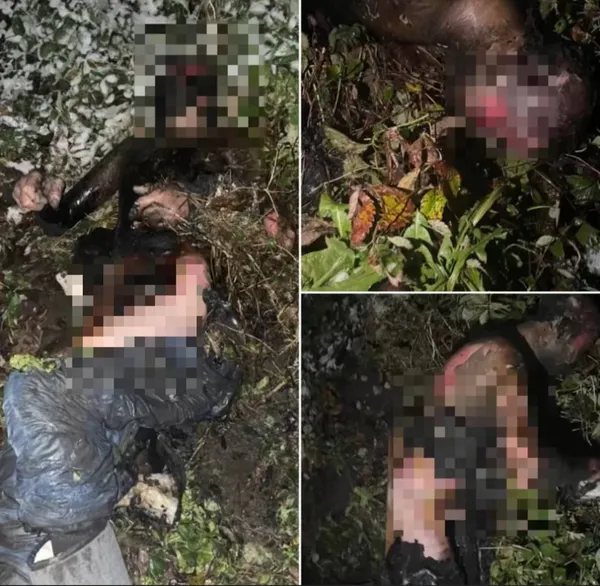 У Володимирі чоловік підпалив себе живцем і помер (фото 18+)