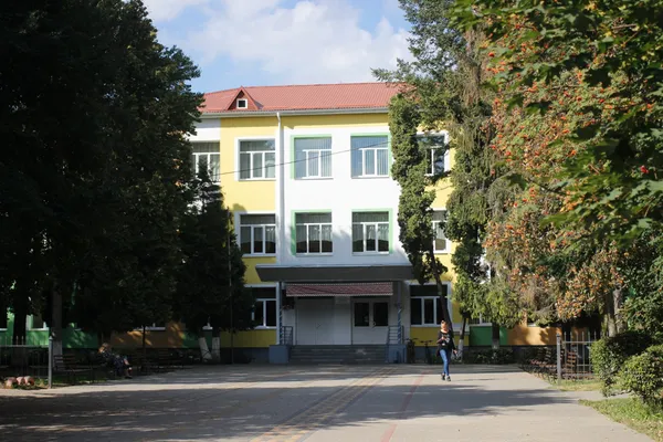 Порожні школи та безлюдні вулиці: як Луцьк святкував 1 вересня (фото)