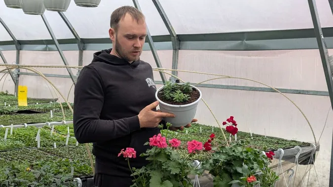 «Квіти – це не лише жіноча справа»: як родина з-під Луцька розвиває тепличний бізнес (фото)
