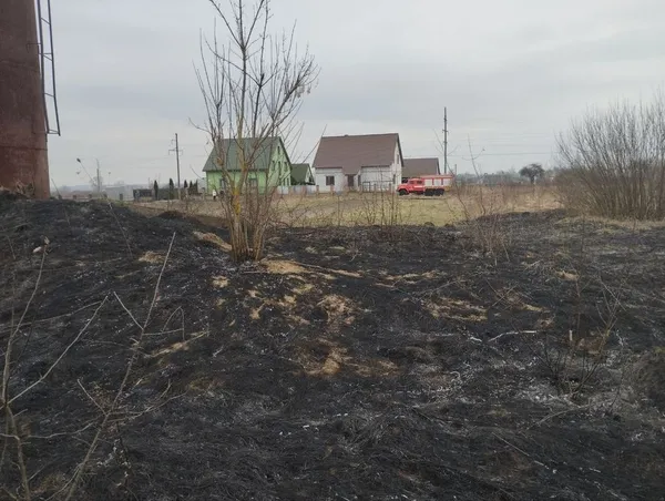 Приборканий вогонь і врятовані діти: неспокійна доба волинських рятувальників (фото)