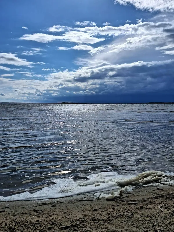 Світязь вразив незвичним видовищем: вода в озері стала схожою на рідке срібло (фото)