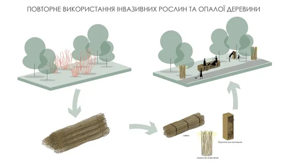 Концепція місць для сидіння, які пропонують створити з інвазивних рослин