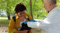 І котиків, і собачок: у Луцьку безплатно вакцинують домашніх тварин від сказу (фото, відео)