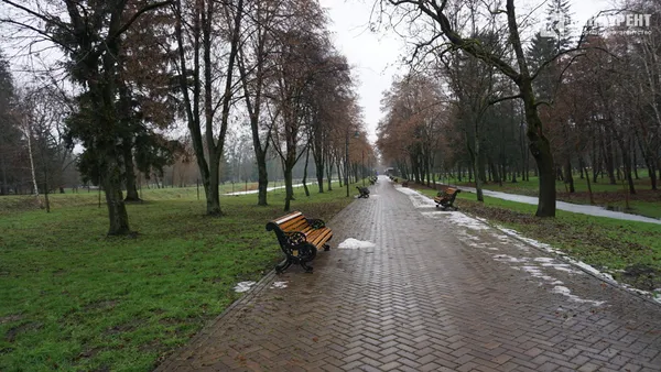 Тлін, безвихідь і бігуни: різдвяний ранок у луцькому парку (депресивні фото)