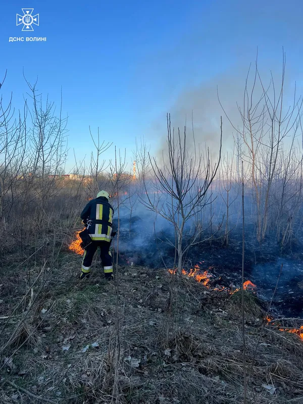 На Волині за добу вигоріли гектари трави: вогонь дістався навіть дачного будинку (фото)