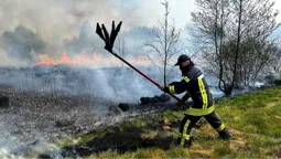На Волині другу добу палає велике торфовище (фото)