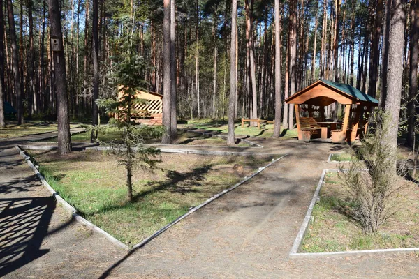 «Лісові» подарунки: як волинські села безкоштовно отримують «туристичні родзинки»