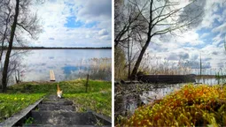 Глибшим є лише Світязь: показали «заквітчане» волинське озеро (фото)