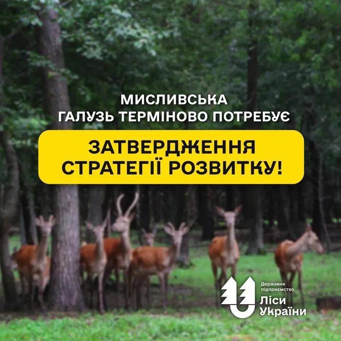 Браконьєрство, знищення природи й небезпечні епідемії: експерти б’ють на сполох – Україні терміново потрібна Стратегія розвитку мисливського господарства