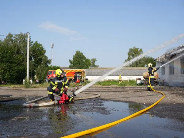 Під Луцьком загасили пожежу на фермі: що з тваринами (фото)