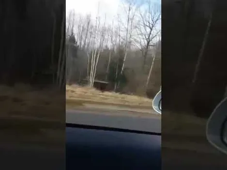 Обвал курсу і дискусії про війну: про що говорять білоруси біля Волині
