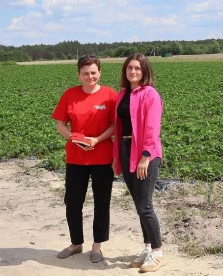 Замість чагарників – десятки гектарів ягід: як на Волині розбудовують найбільшу органічну плантацію (фото)