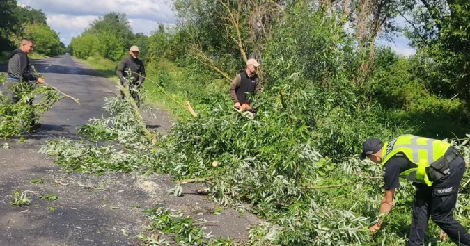 Недалеко від Луцька повалене дерево перекрило дорогу (фото)