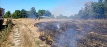 Понад 6 гектарів випаленої землі: у Луцькому районі гасили 7 масштабних пожеж сухої трави (фото)