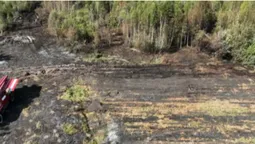 Горіли суха трава, чагарники, торф: на Волині загасили сім пожеж (фото)
