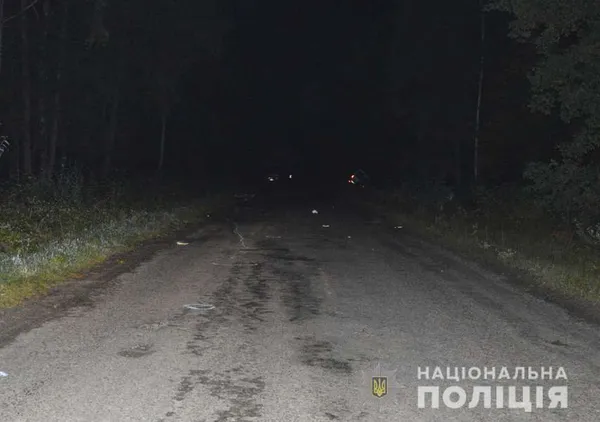 Лобове зіткнення: винуватця смертельної ДТП на Волині засудили на 10 років (фото)