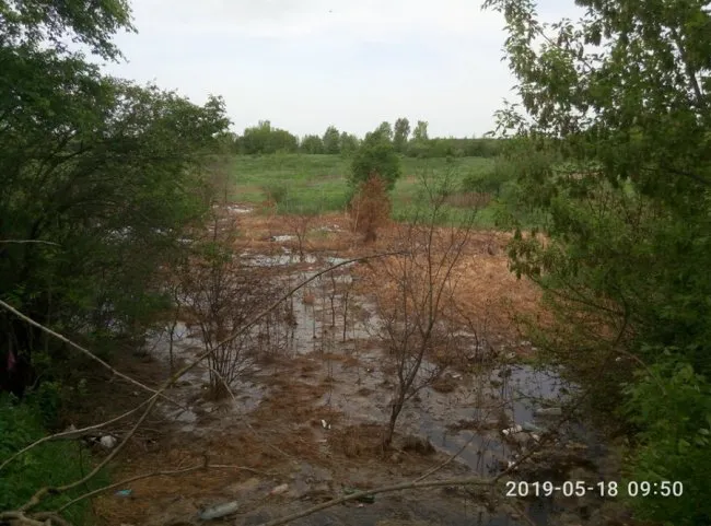 На сміттєзвалищі поблизу Луцька витікає отруйний фільтрат