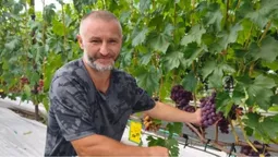 Створили «маленький Крим»: як родина з Волині вирощує 50 сортів винограду (фото, відео)