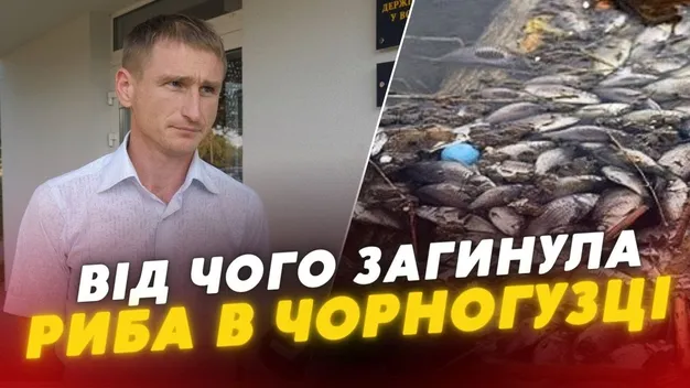 Риба – дохне, а проби води – у нормі: що коїться у річці під Луцьком