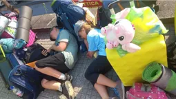 Водій автобуса FlixBus покинув 17 українських дітей в Італії (фото)