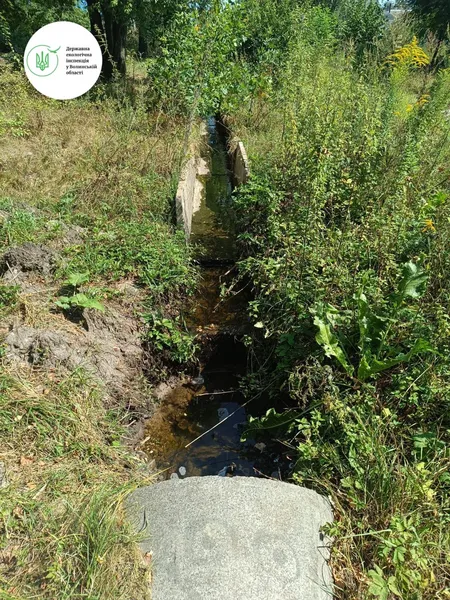 У Ковельське водосховище скидають нечистоти: інспекція перевіряє водойму (фото)