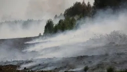 На Волині тліє торфовище: на вогнеборців чекають з полудня (відео, оновлено)