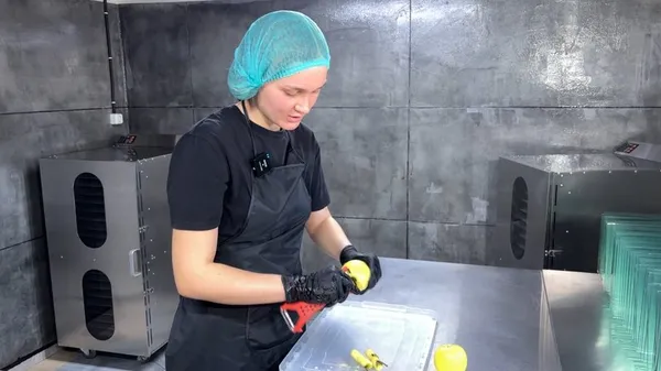 Виграли грант від держави: як подружжя з Волині виготовляють фріпси та пастилу (відео)