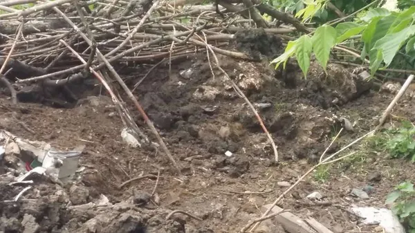 Згадати все: хроніка луцького смороду