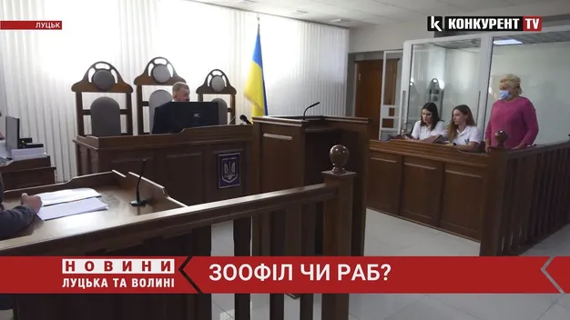 «Рабство» біля Луцька. Жінка звинувачує працівника у ґвалтуванні телят (відео)