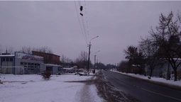 У Луцьку два роки обрізки дерев висять на електродротах (фото)