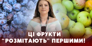 Сезон садовини у розпалі: які ціни на яблука, груші та сливи на луцьких ринках (відео)