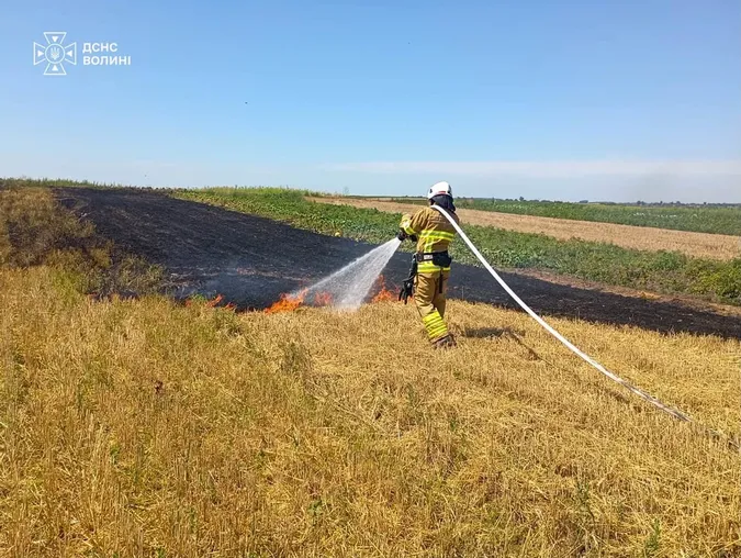 Палала суха трава і стерня: на Волині за добу ліквідували чотири пожежі (фото)