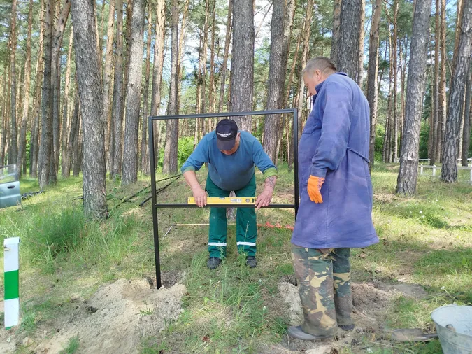 Де неподалік Луцька можна погуляти незайманим столітнім лісом (фото)