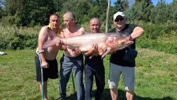 Справжній гігант: ветерани війни витягли з води 34-кілограмового товстолоба (фото)