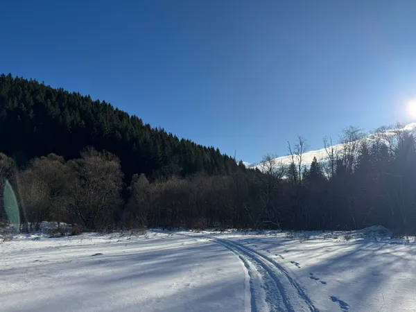 Прикордонники показали засніжені новорічні Карпати (фото)