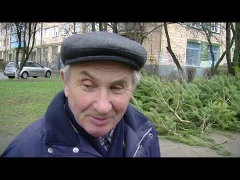 Відвезіть у зоопарк: лісове господарство про покинуті ялинки біля РАЦСу (відео)