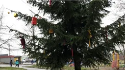 Зі скандальної ялинки у Нововолинську зняли повішених зайців (фото)