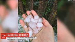 У Турійському районі величезний град знищив городину
