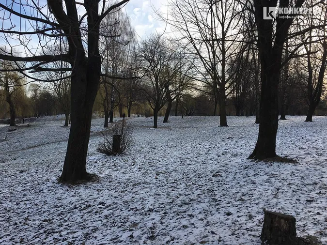 Сніг у березні: фото луцького парку