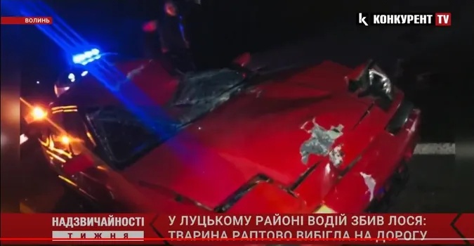 Надзвичайності тижня: водій збив єпископа; нелюди морили собаку голодом; самогубство атовця (відео)