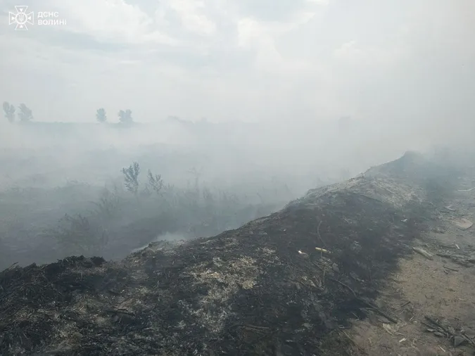 На Волині двоє пенсіонерів виявилися паліями сухої трави (фото)