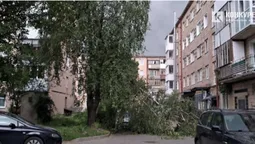 Луцьк раптово накрила потужна злива: буревій повалив дерева (фото, відео)
